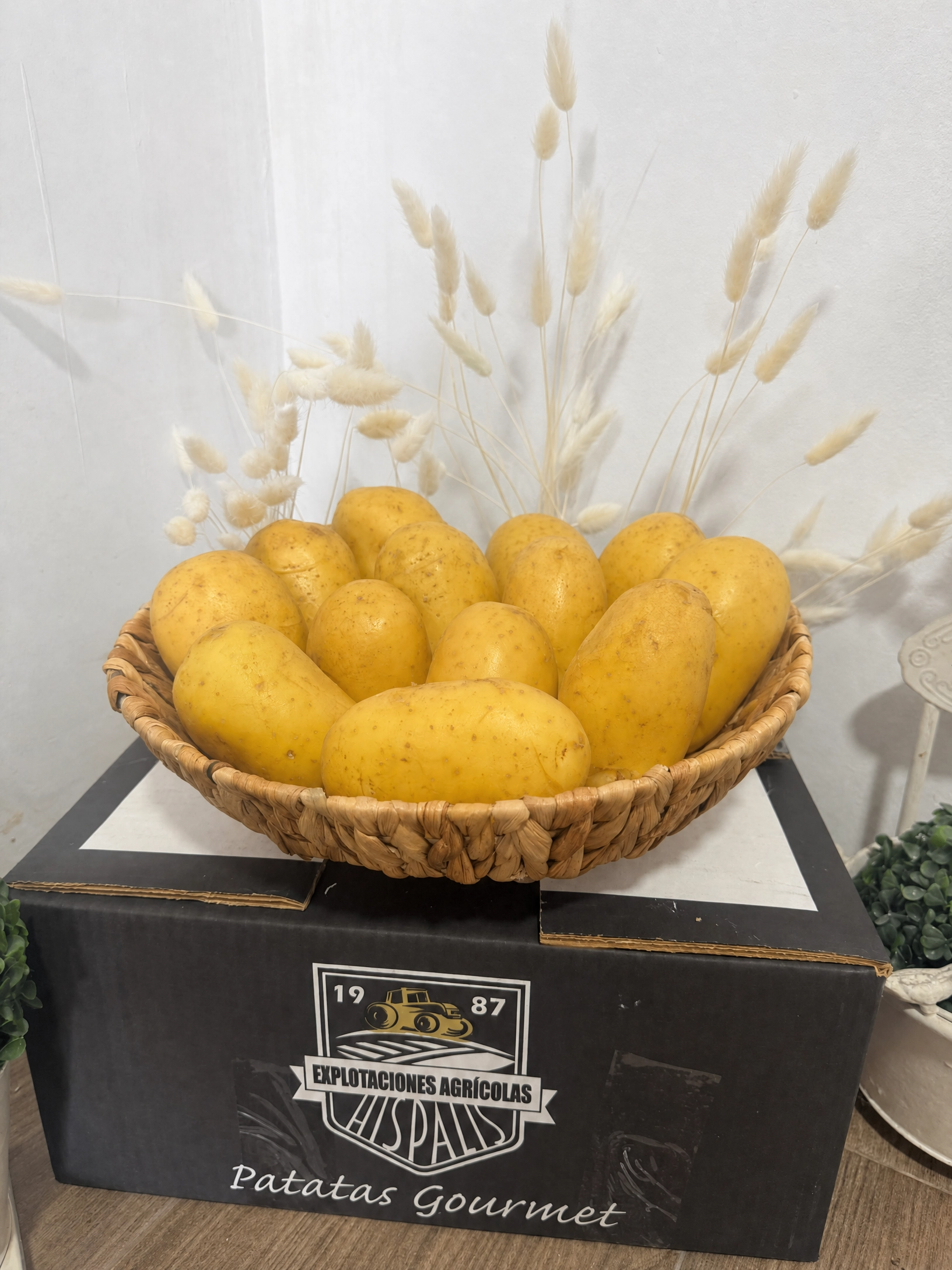 Patata todo uso Hispalis Patatas Gourmet Sevilla