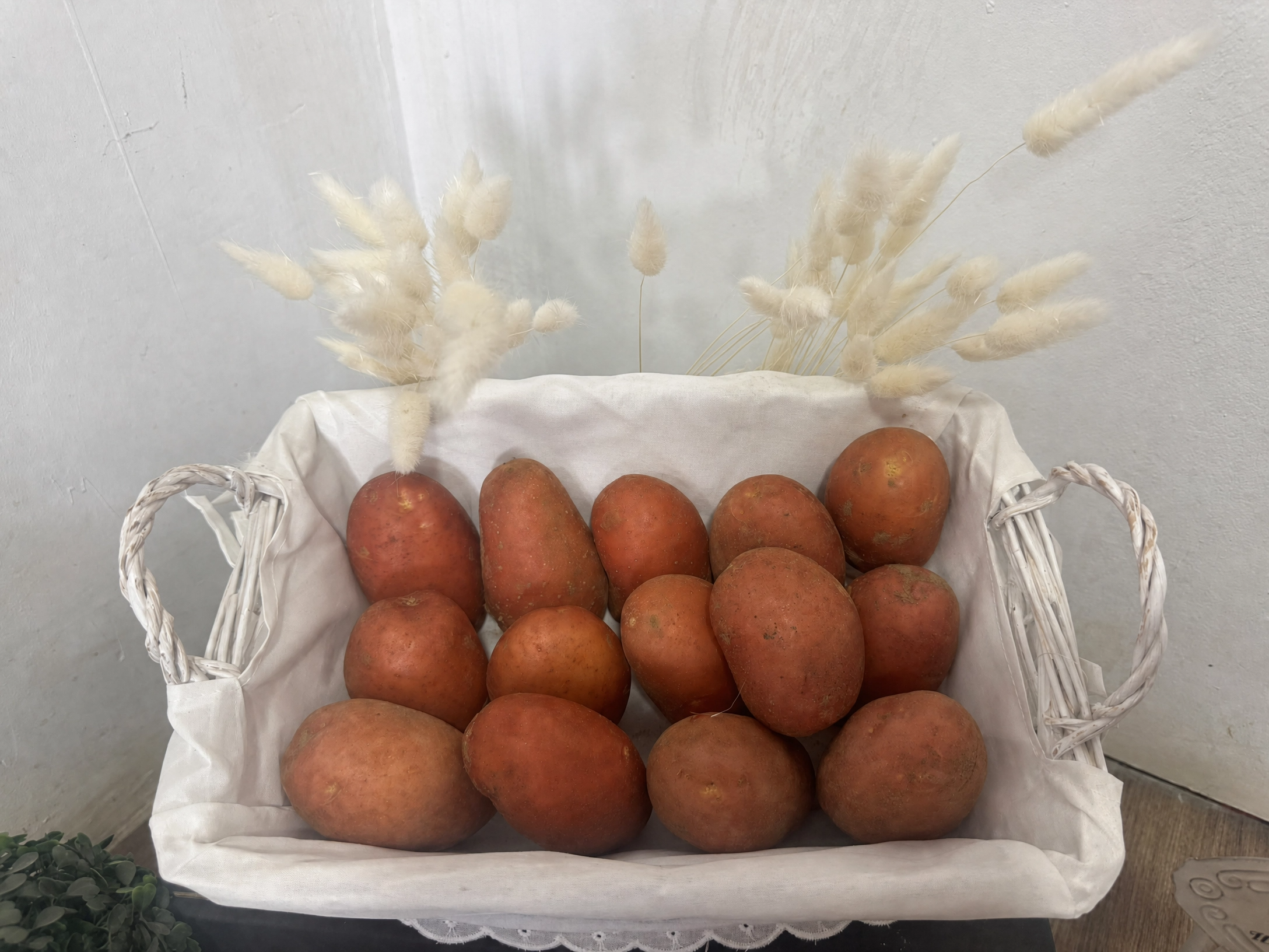 Patata para cocer piel roja Hispalis Patatas Gourmet Sevilla