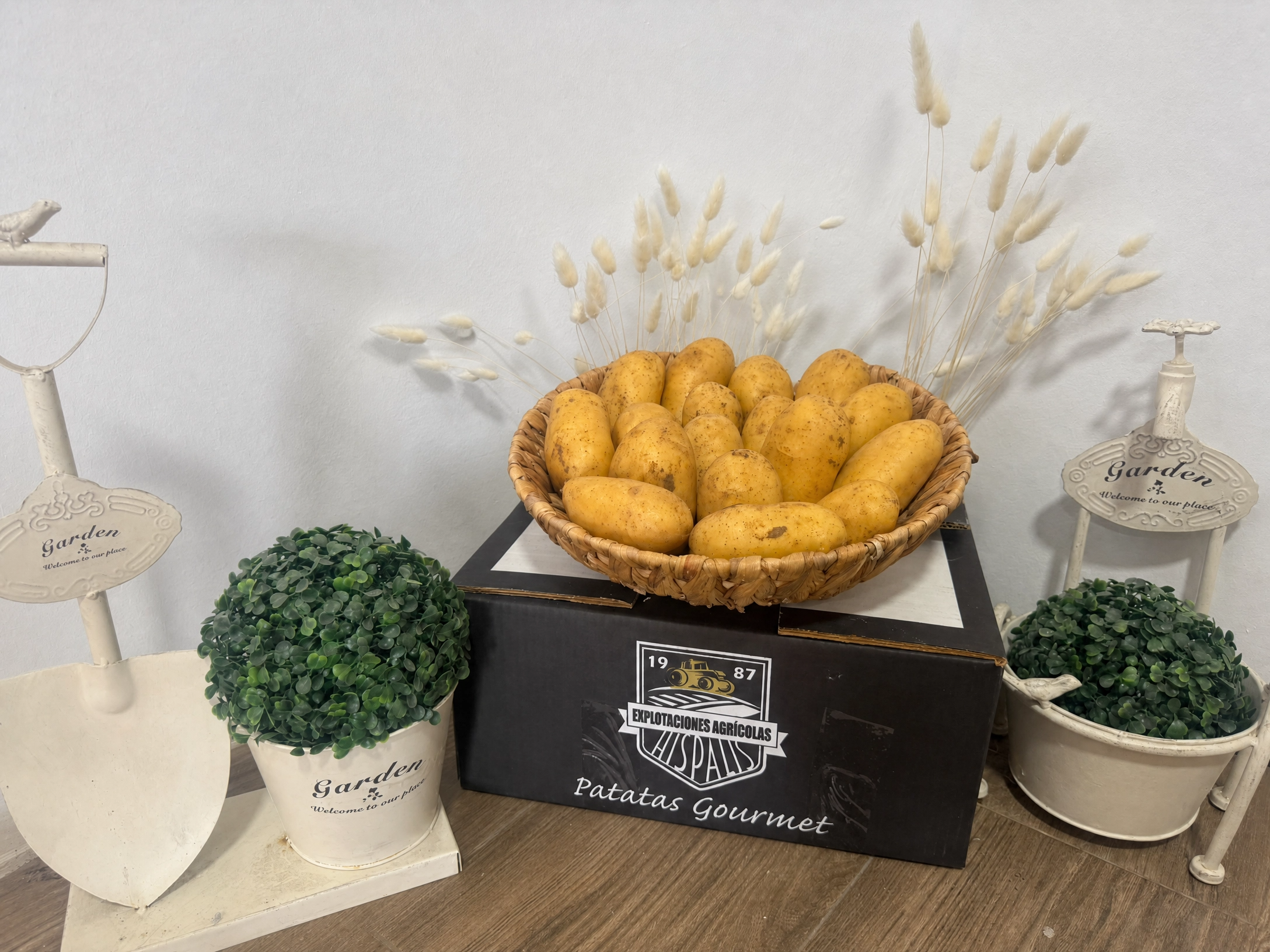 Patata para cocer carne blanca Hispalis Patatas Gourmet Sevilla